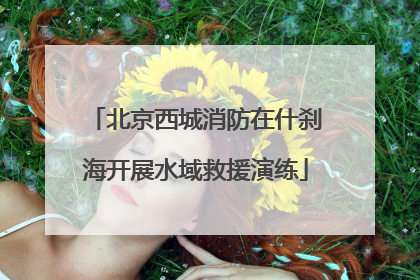 北京西城消防在什刹海开展水域救援演练