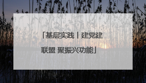 基层实践丨建党建联盟 聚振兴功能