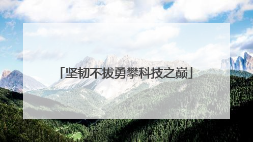坚韧不拔勇攀科技之巅