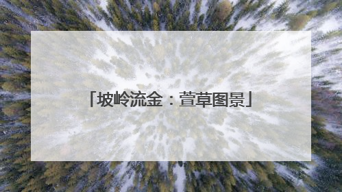 坡岭流金：萱草图景