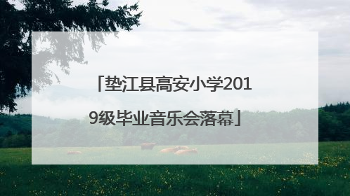 垫江县高安小学2019级毕业音乐会落幕