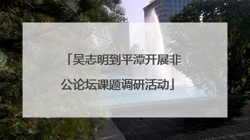 吴志明到平潭开展非公论坛课题调研活动