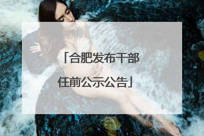 合肥发布干部任前公示公告