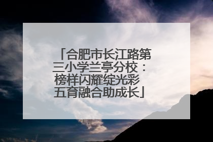 合肥市长江路第三小学兰亭分校：榜样闪耀绽光彩 五育融合助成长
