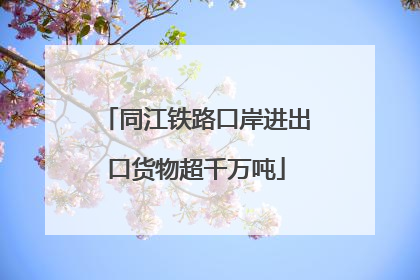 同江铁路口岸进出口货物超千万吨