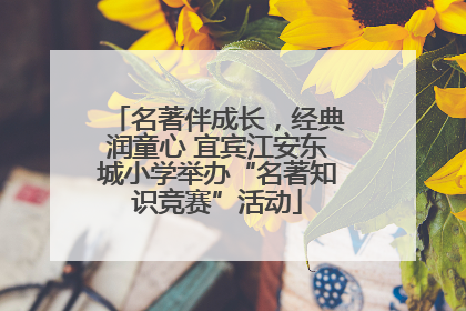 名著伴成长，经典润童心 宜宾江安东城小学举办“名著知识竞赛”活动