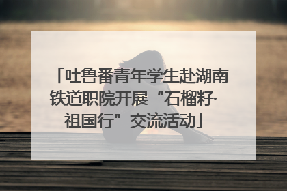 吐鲁番青年学生赴湖南铁道职院开展“石榴籽·祖国行”交流活动