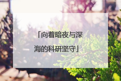 向着暗夜与深海的科研坚守