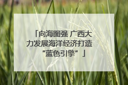 向海图强 广西大力发展海洋经济打造“蓝色引擎”