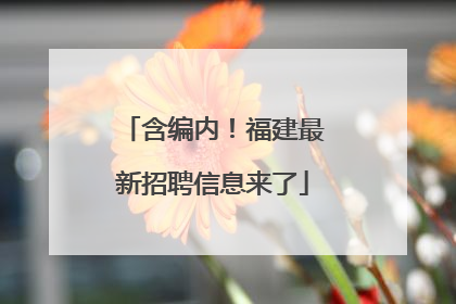 含编内！福建最新招聘信息来了