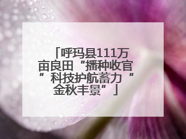 呼玛县111万亩良田“播种收官”科技护航蓄力“金秋丰景”