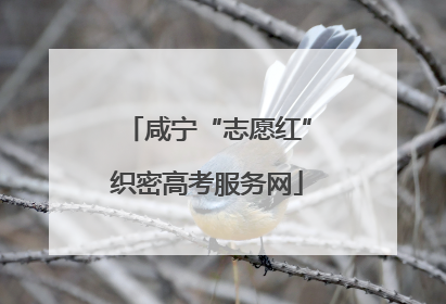咸宁“志愿红”织密高考服务网