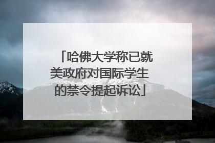 哈佛大学称已就美政府对国际学生的禁令提起诉讼