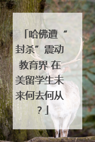 哈佛遭“封杀”震动教育界 在美留学生未来何去何从？