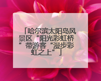 哈尔滨太阳岛风景区“阳光彩虹桥”带游客“漫步彩虹之上”