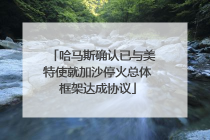 哈马斯确认已与美特使就加沙停火总体框架达成协议