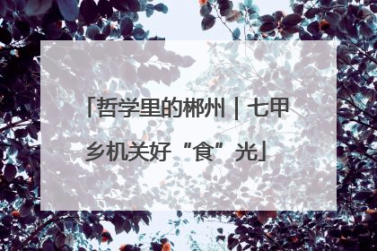 哲学里的郴州｜七甲乡机关好“食”光
