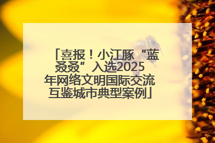 喜报！小江豚“蓝叒叒”入选2025年网络文明国际交流互鉴城市典型案例