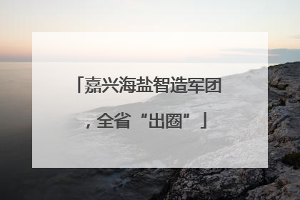 嘉兴海盐智造军团，全省“出圈”