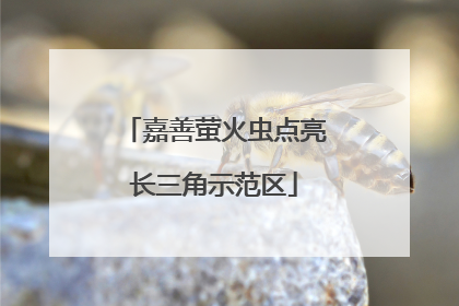 嘉善萤火虫点亮长三角示范区