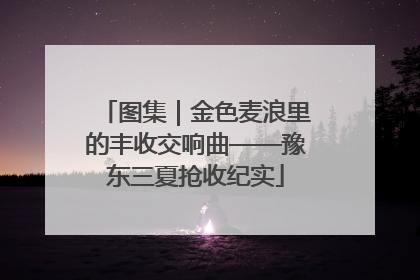 图集｜金色麦浪里的丰收交响曲——豫东三夏抢收纪实