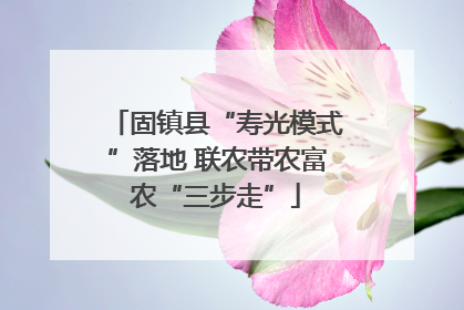 固镇县“寿光模式”落地 联农带农富农“三步走”