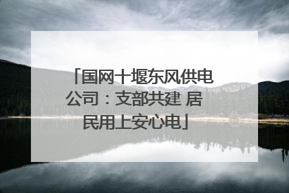 国网十堰东风供电公司：支部共建 居民用上安心电
