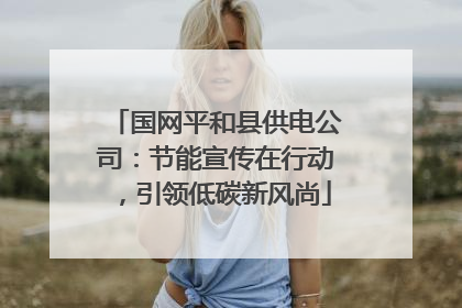 国网平和县供电公司：节能宣传在行动，引领低碳新风尚