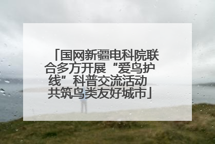 国网新疆电科院联合多方开展“爱鸟护线”科普交流活动 共筑鸟类友好城市