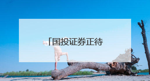 国投证券正待新掌舵人，原董事长已出任五矿集团总会计师