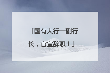 国有大行一副行长，官宣辞职！