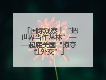 国际观察丨“把世界当作丛林”——起底美国“掠夺性外交”