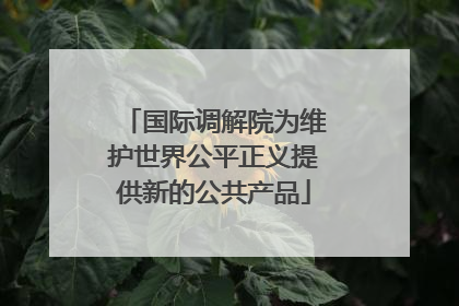 国际调解院为维护世界公平正义提供新的公共产品
