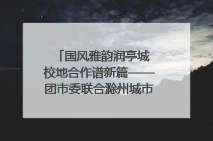 国风雅韵润亭城 校地合作谱新篇——团市委联合滁州城市职业学院助力传统文化“破圈”绽放