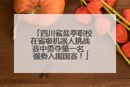 四川省盐亭职校在省级机器人挑战赛中勇夺第一名，强势入围国赛！