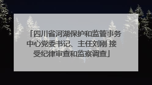 四川省河湖保护和监管事务中心党委书记、主任刘刚 接受纪律审查和监察调查
