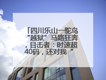四川乐山一鸵鸟“越狱”马路狂奔，目击者：时速超40码，还对我“笑”了下