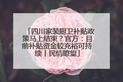 四川家装厨卫补贴政策马上结束？官方：目前补贴资金较充裕可持续丨民情瞭望