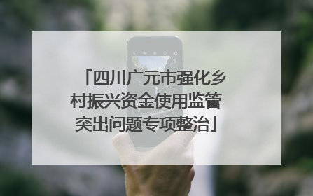 四川广元市强化乡村振兴资金使用监管突出问题专项整治