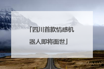 四川首款情感机器人即将面世