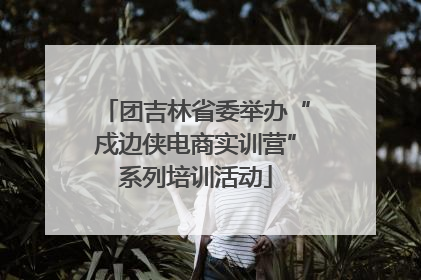 团吉林省委举办“戍边侠电商实训营”系列培训活动