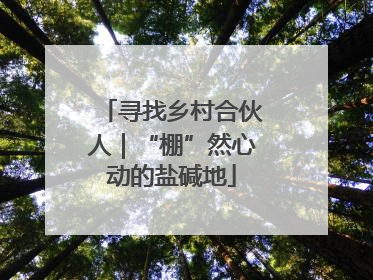 寻找乡村合伙人｜“棚”然心动的盐碱地