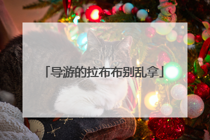 导游的拉布布别乱拿