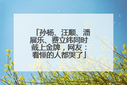 孙杨、汪顺、潘展乐、费立纬同时戴上金牌，网友：看懂的人都哭了