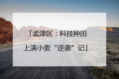 孟津区：科技种田 上演小麦“逆袭”记