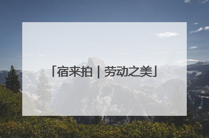 宿来拍｜劳动之美