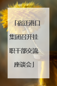 宿迁港口集团召开挂职干部交流座谈会