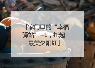 家门口的“幸福驿站”+1，托起最美夕阳红
