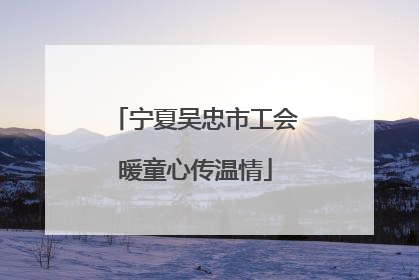 宁夏吴忠市工会暖童心传温情
