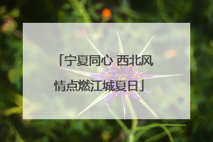 宁夏同心 西北风情点燃江城夏日